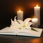 Prendre soin des dents de votre petit chien : astuces et conseils pour une hygiène dentaire au top